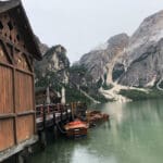 Ochrona przyrody – jak zachować bioróżnorodność w dobie kryzysu ekologicznego?