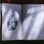 Zaginione miasta i jak je odnajdują archeolodzy – co może zobaczyć turysta