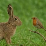 Czym jest konkurencja ekologiczna