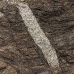 Czym jest intruzja żyłowa