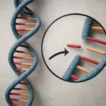 Czym jest mutacja delecji